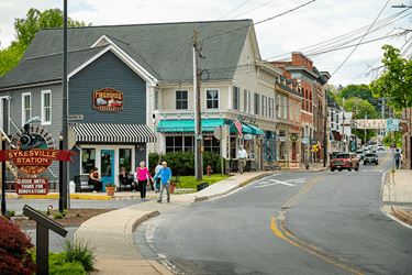 Downtown Sykesville-19.png