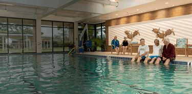 Azalea Trace Form (1).png