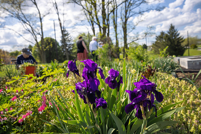 People enjoying a garden with flowers