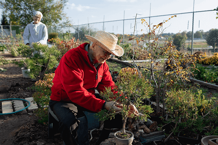 A man crouching over a plant in his garden