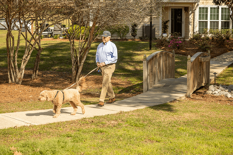 WV Man Walking Dog