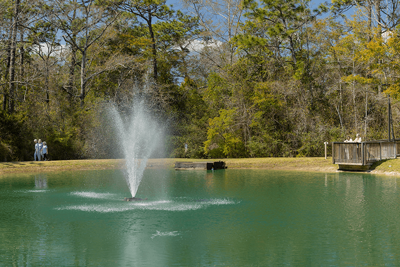 AT Fountain