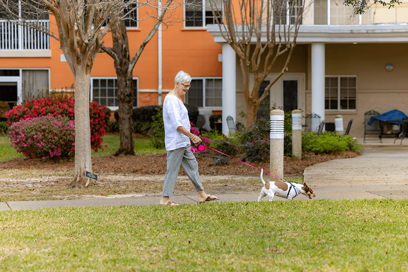 AT Woman Walking Dog